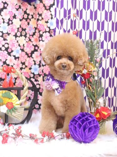 20250122こじろうくん